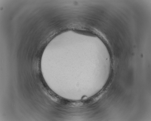 X0000068730065200605262036