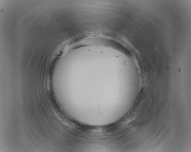 X0000068730068200605262036