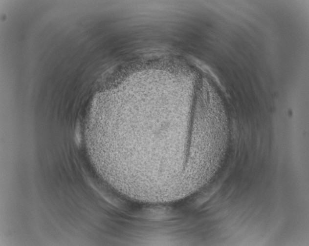 X0000068730069200605262036