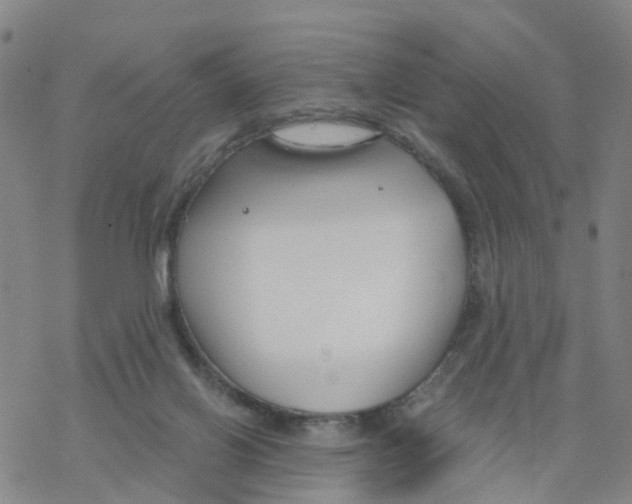 X0000068730070200605262036