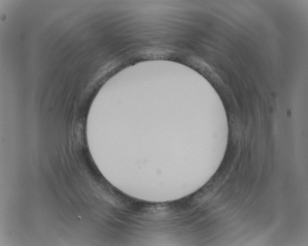 X0000068730071200605262036