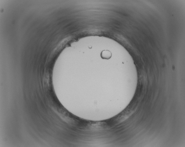 X0000068730072200605262036