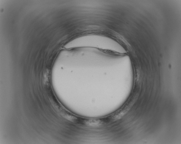 X0000068730073200605262036