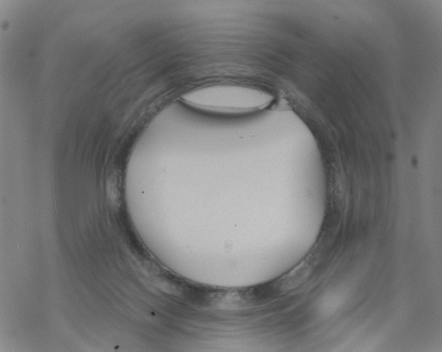 X0000068730074200605262036