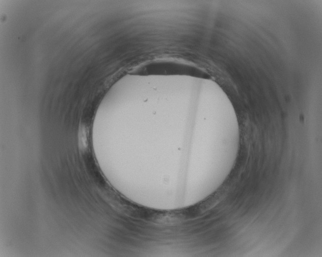 X0000068730075200605262036