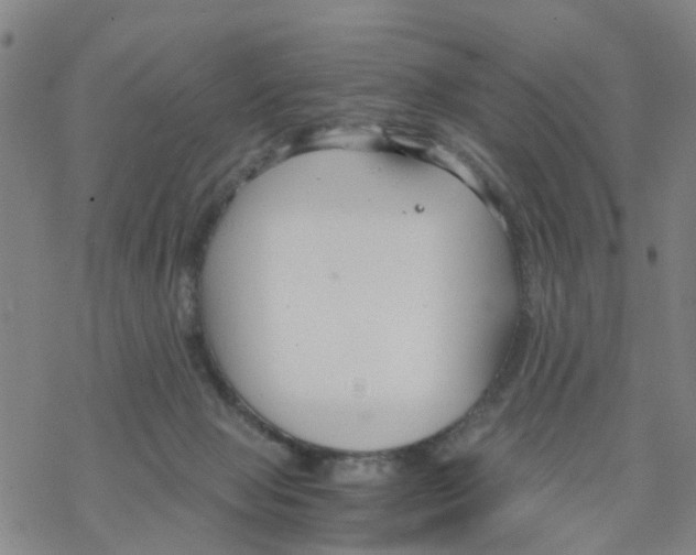 X0000068730077200605262036