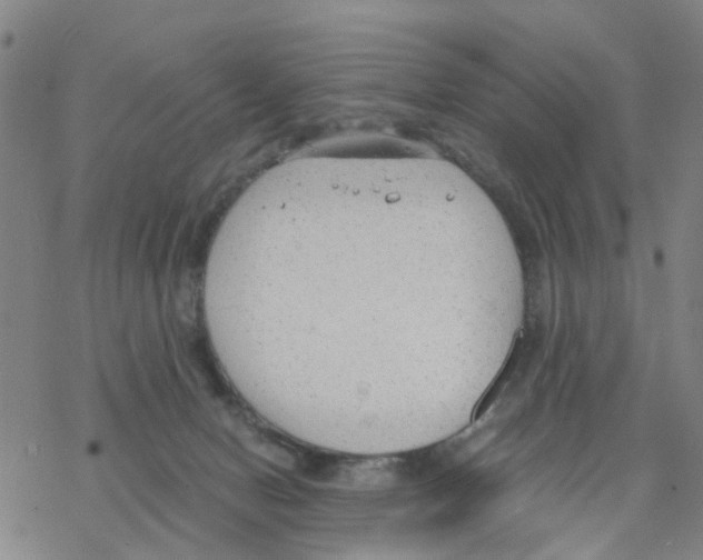 X0000068730078200605262036