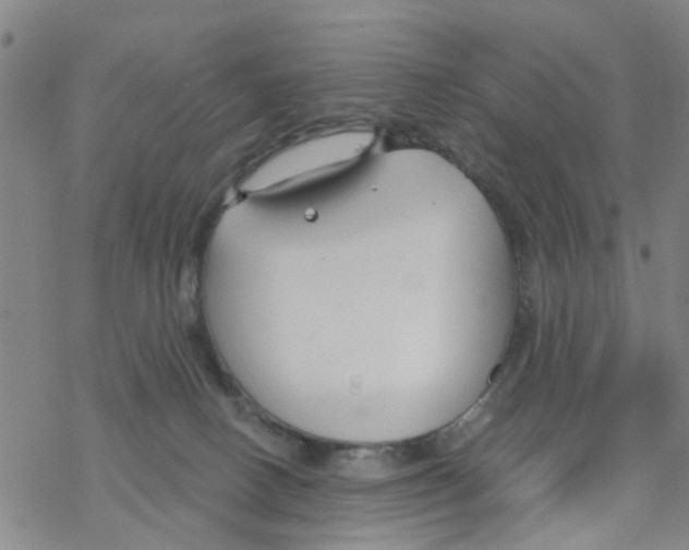 X0000068730082200605262036