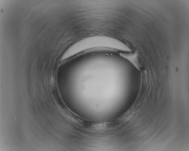 X0000068730084200605262036