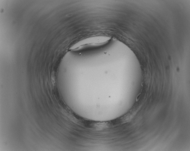 X0000068730085200605262036