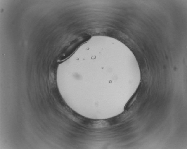 X0000068730087200605262036