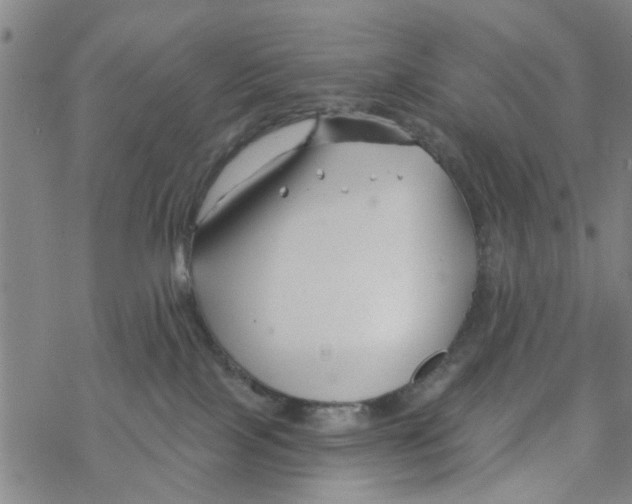 X0000068730089200605262036