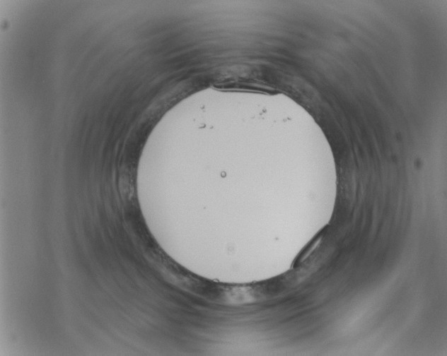 X0000068730091200605262036