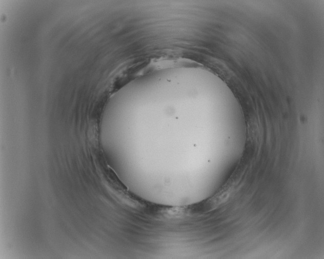 X0000068730092200605262036