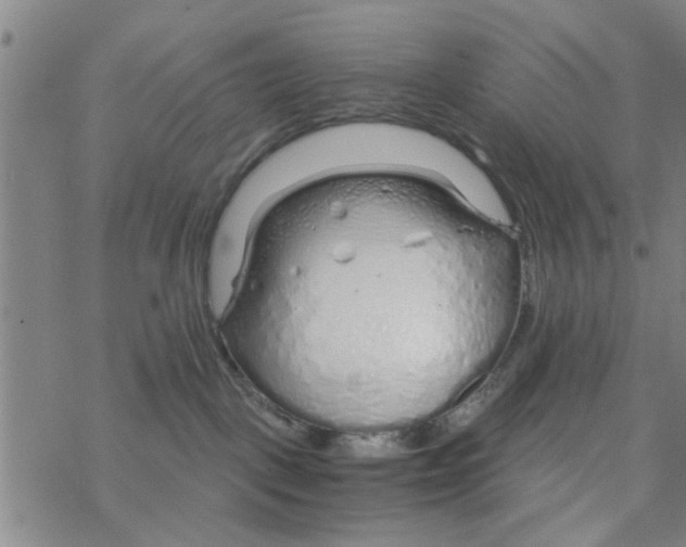 X0000068730093200605262036