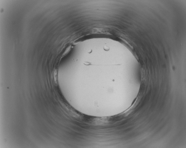 X0000068730094200605262036