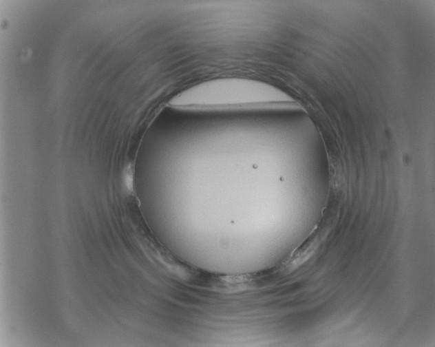 X0000068730095200605262036