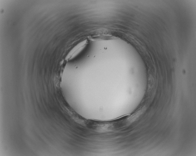 X0000068730096200605262036