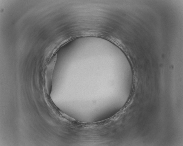 X0000068730097200605262036