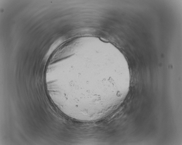 X0000068730099200605262036