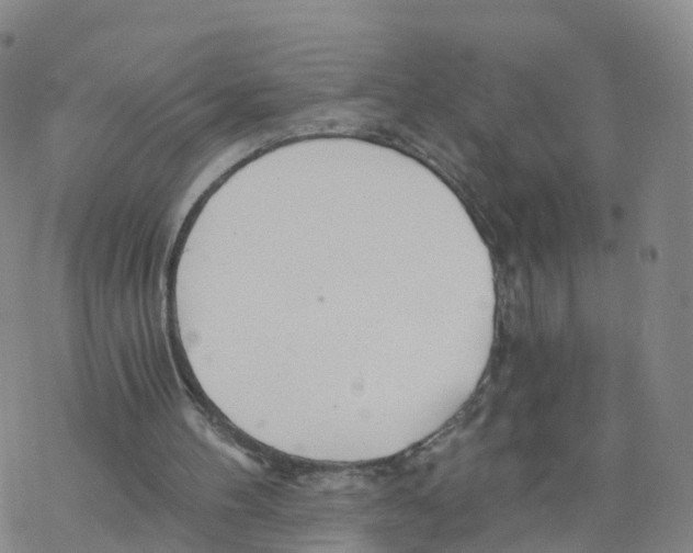 X0000068730100200605262036