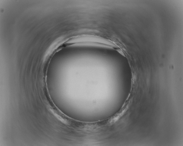 X0000068730101200605262036