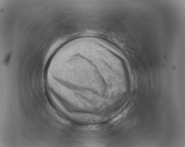 X0000068730102200605262036