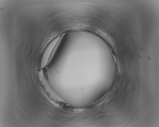 X0000068730105200605262036