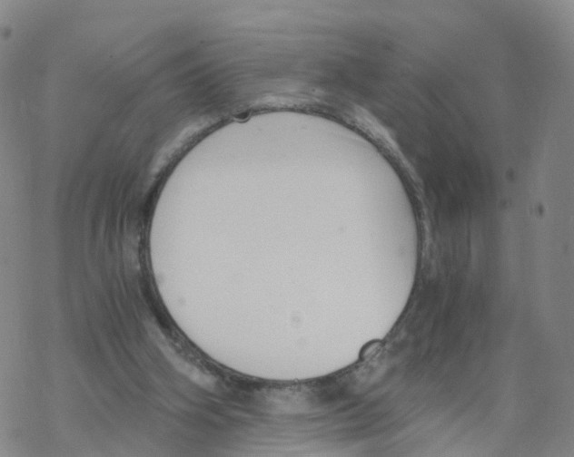 X0000068730106200605262036