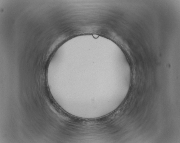 X0000068730107200605262036