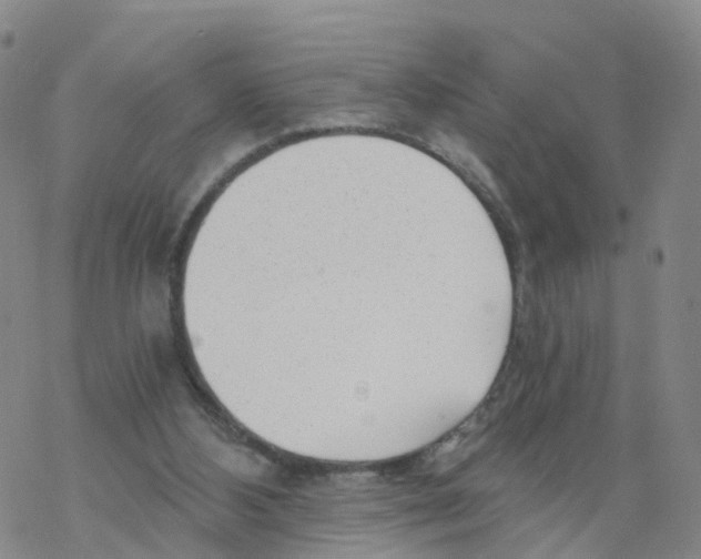 X0000068730108200605262036