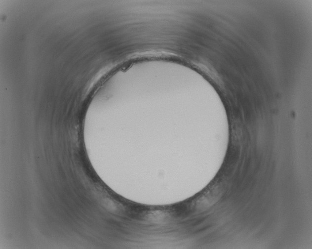 X0000068730111200605262035