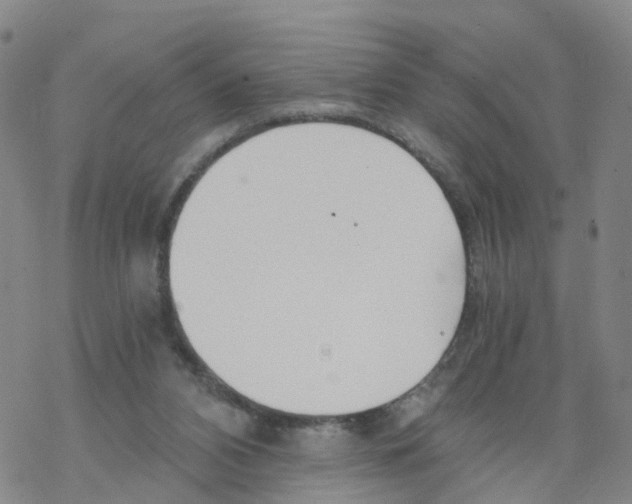 X0000068730112200605262035