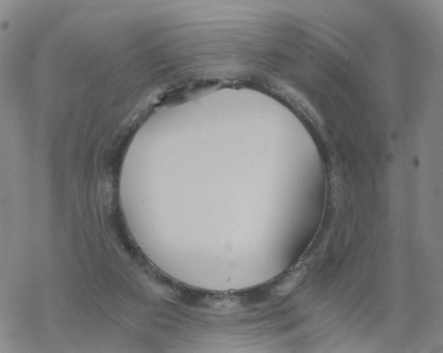 X0000068730113200605262035