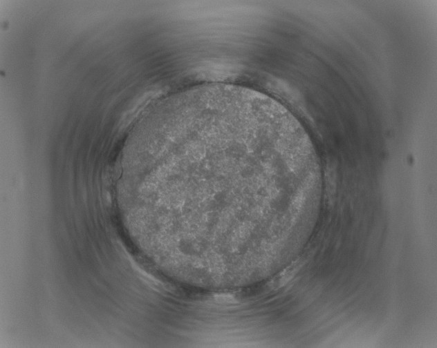 X0000068730114200605262035