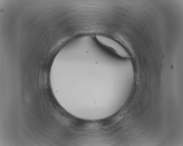 X0000068730115200605262035