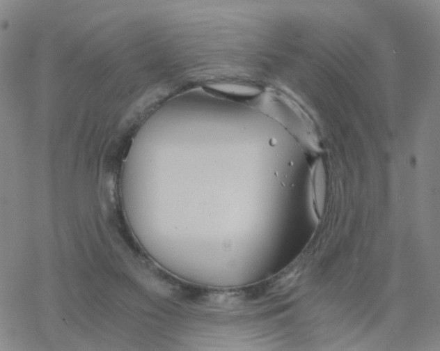 X0000068730117200605262035