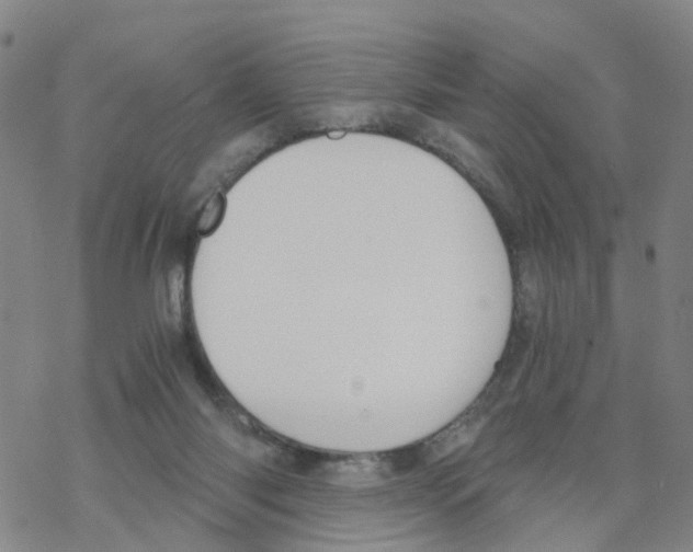 X0000068730118200605262035