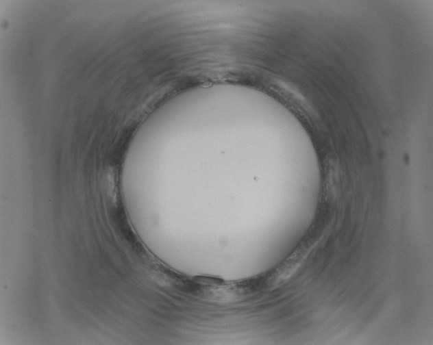 X0000068730121200605262035