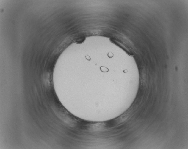 X0000068730122200605262035