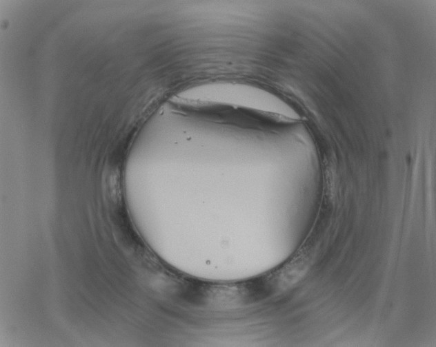 X0000068730123200605262035