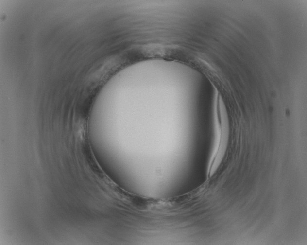 X0000068730125200605262035