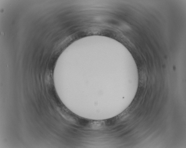 X0000068730126200605262035