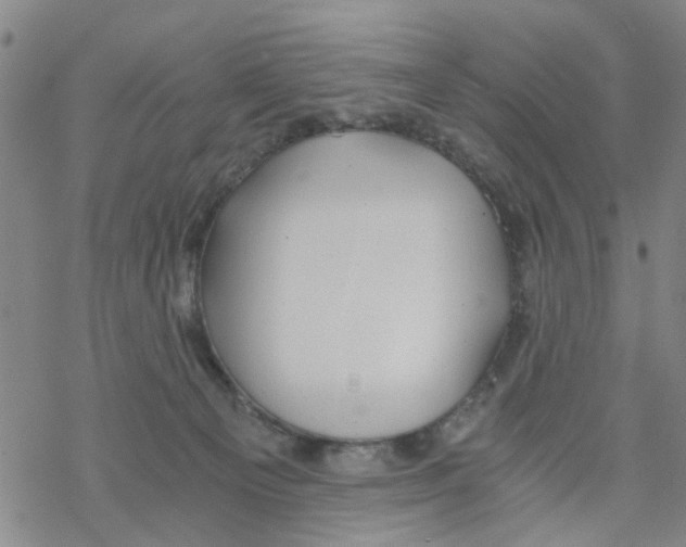 X0000068730129200605262035