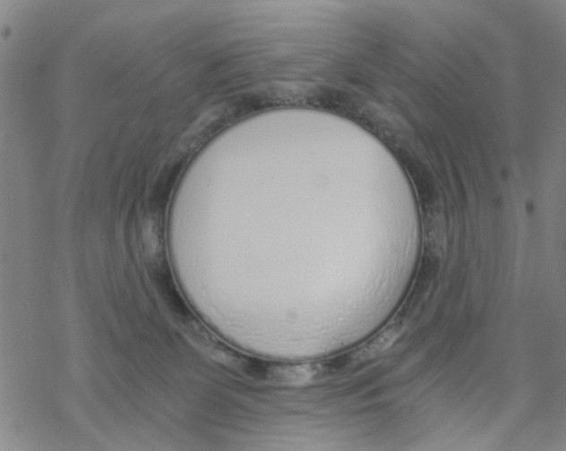 X0000068730131200605262035