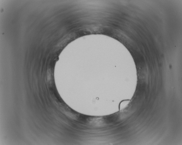 X0000068730132200605262035