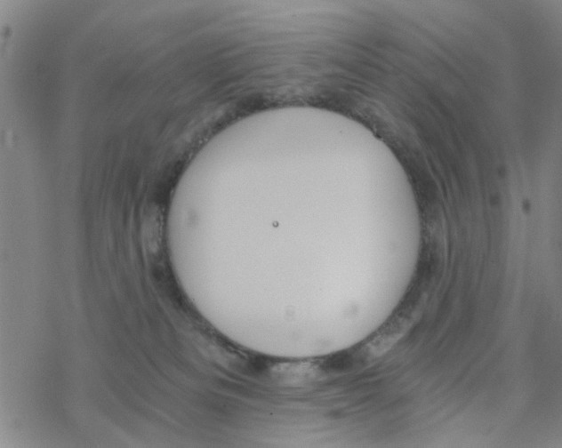 X0000068730133200605262035