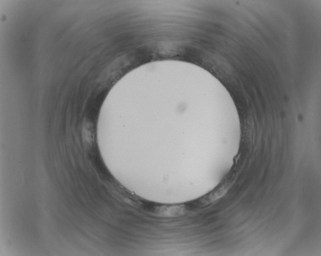 X0000068730135200605262035