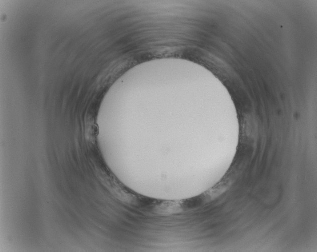 X0000068730138200605262035