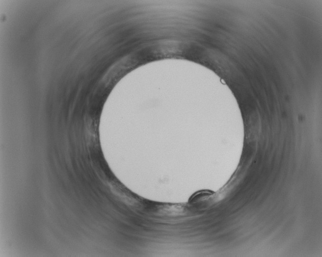 X0000068730140200605262035